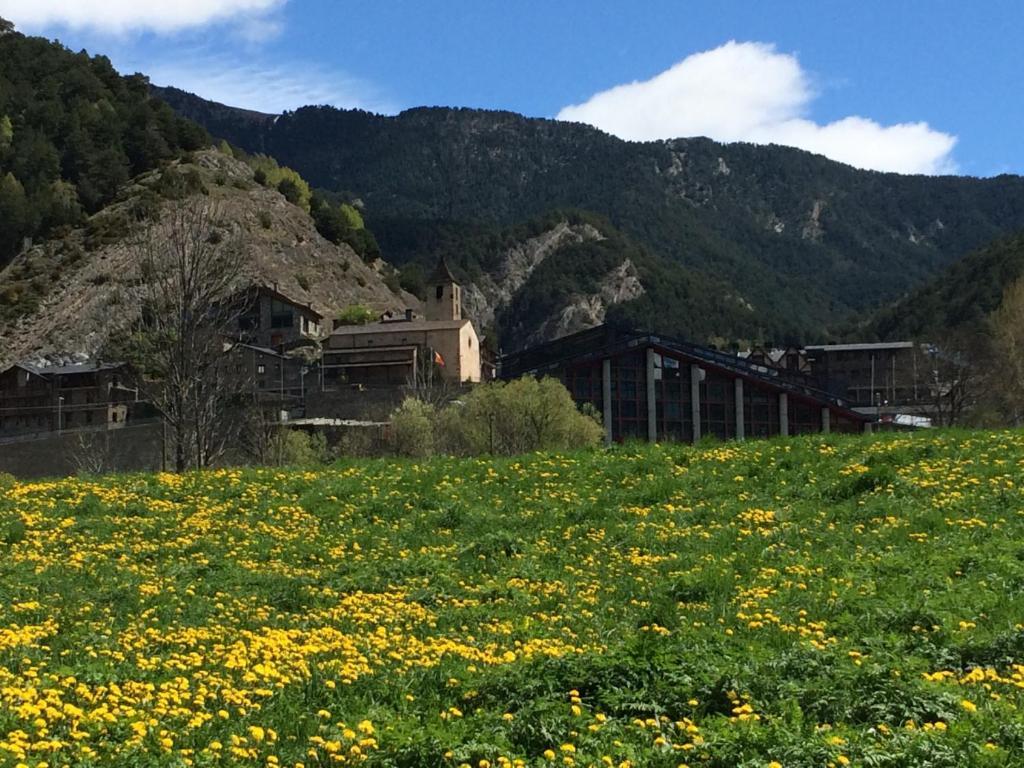Hotel Ordino Rum bild